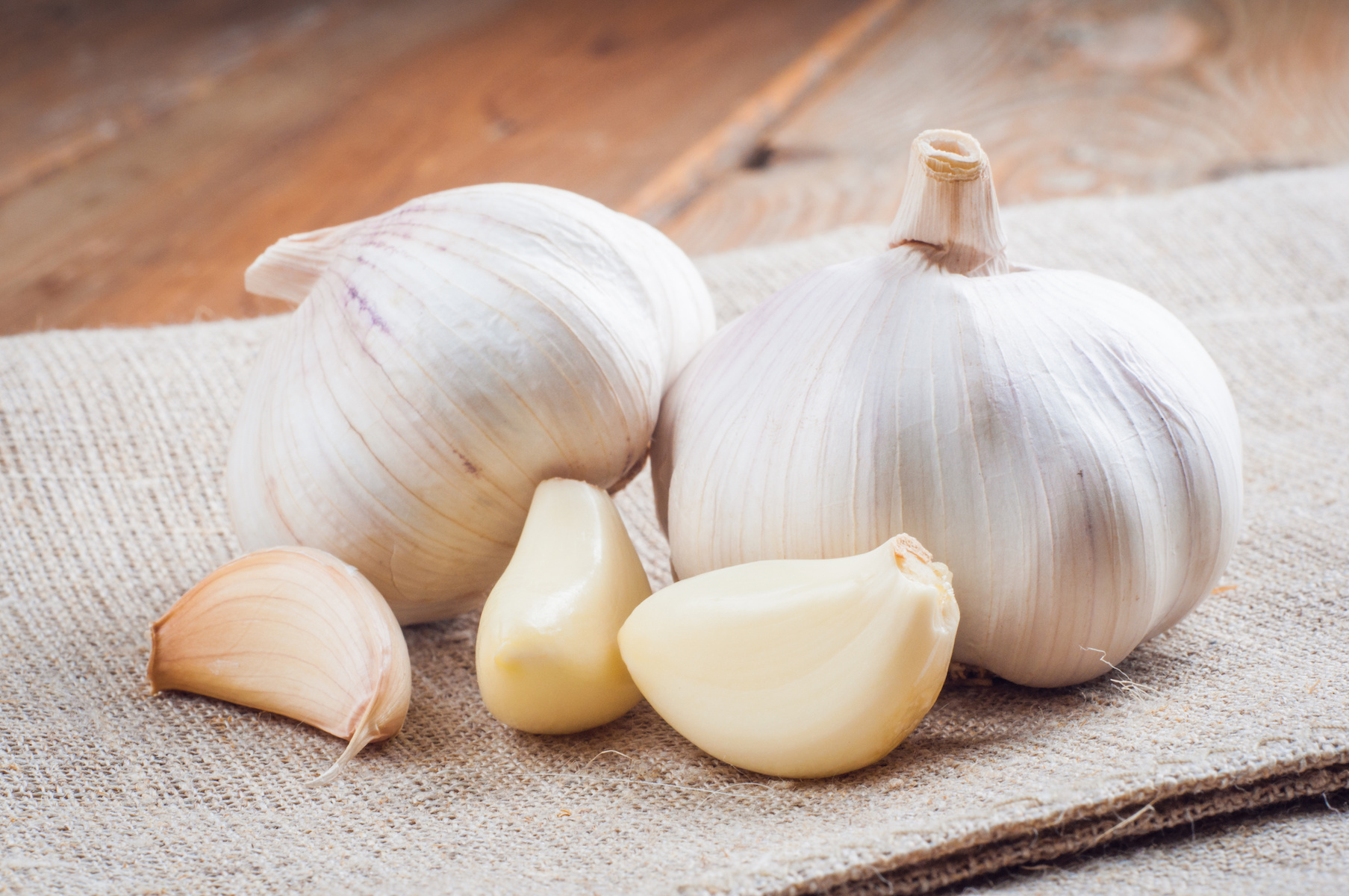 Garlic as Medicine Mother Earth News